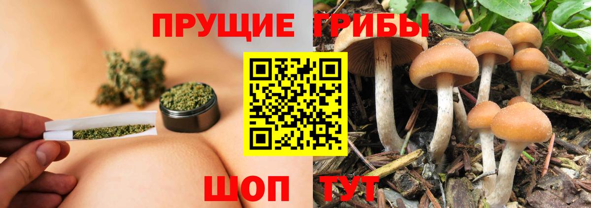 LSD-25 Кулебаки