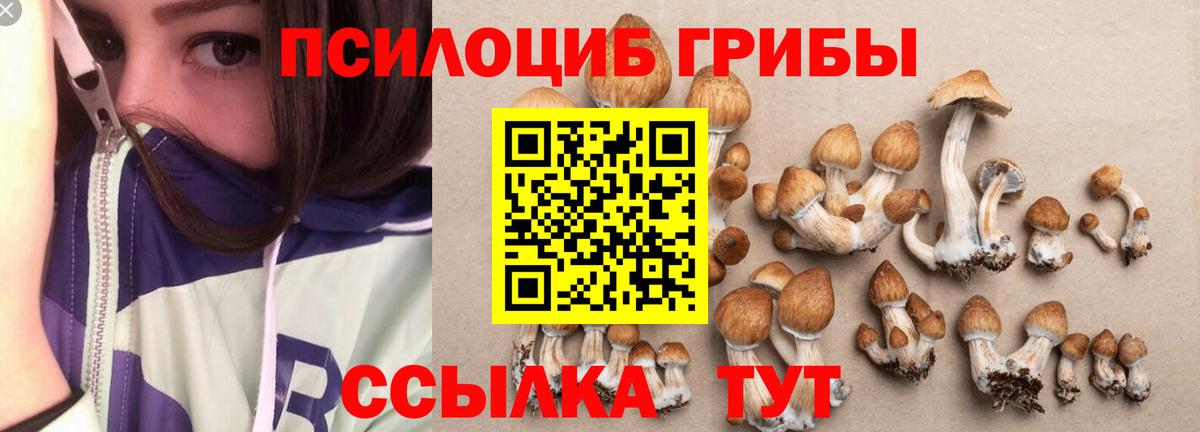 Галлюциногенные грибы мухоморы  Псилоцибиновые грибы мицелий  как найти закладки  Вход с VPN  Кулебаки 