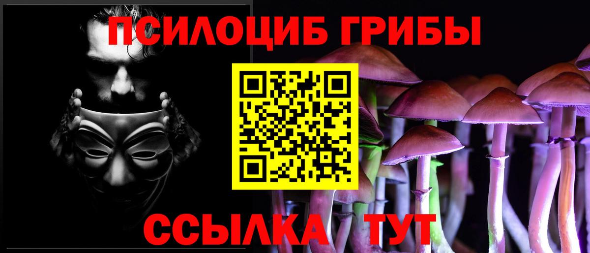 Псилоцибиновые грибы Psilocybe Кулебаки